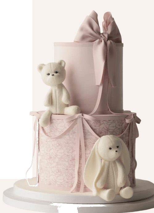Maison des Jouets cake