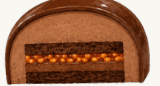Chocolate Salted Caramel